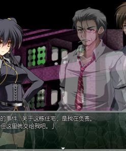 Alternative view of 夜之猎魔少女 - 补丁