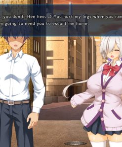 Alternative view of 神具英雄-涤罪者小队 - 补丁