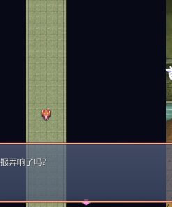Alternative view of 少女怪盗赛丽安娜 - 补丁