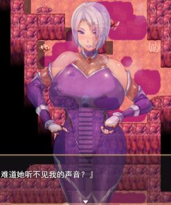 Alternative view of 退魔师紫苑 - 补丁