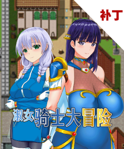 淑女骑士大冒险